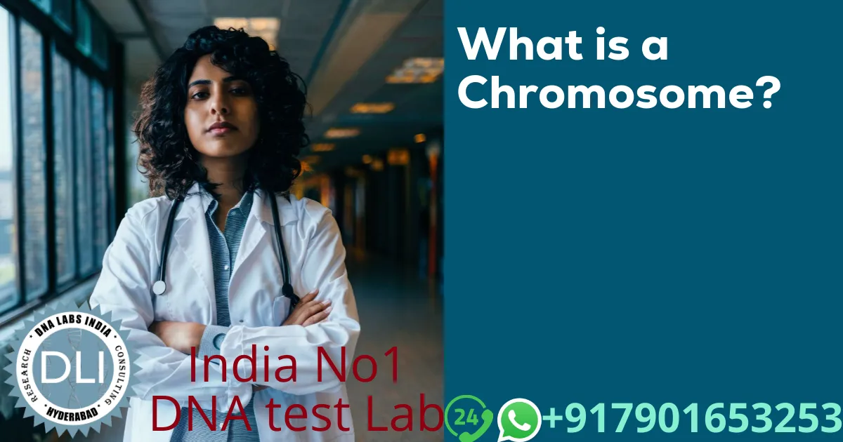 What is a Chromosome?